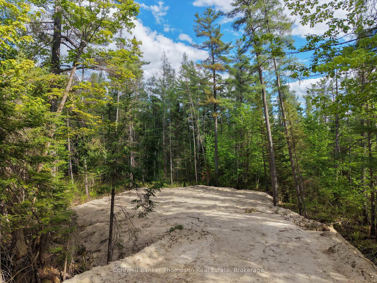 PART 6 AXE LAKE Road • McMurrich/Monteith, ON photo 13