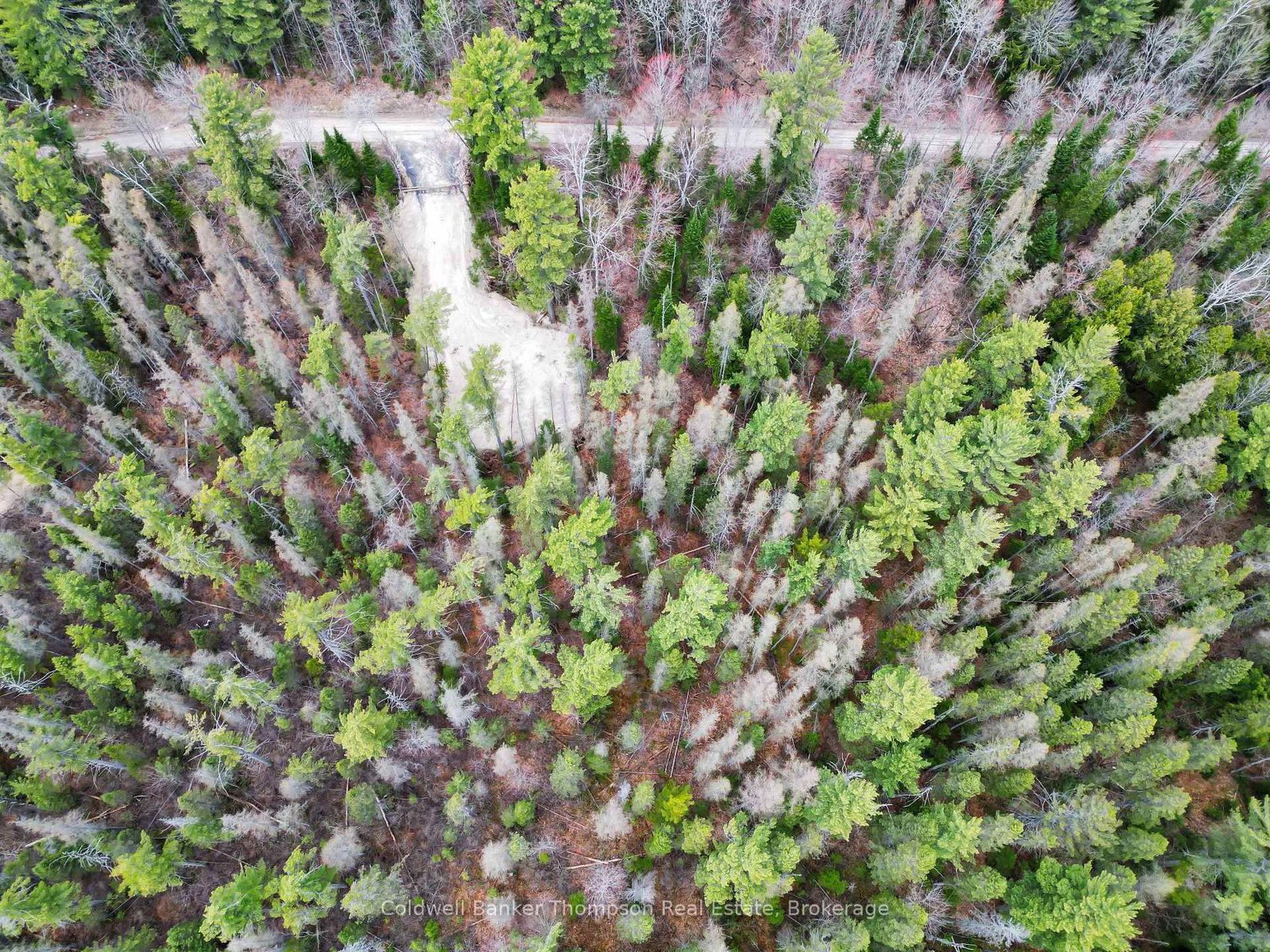 PART 6 AXE LAKE Road • McMurrich/Monteith, ON photo 15