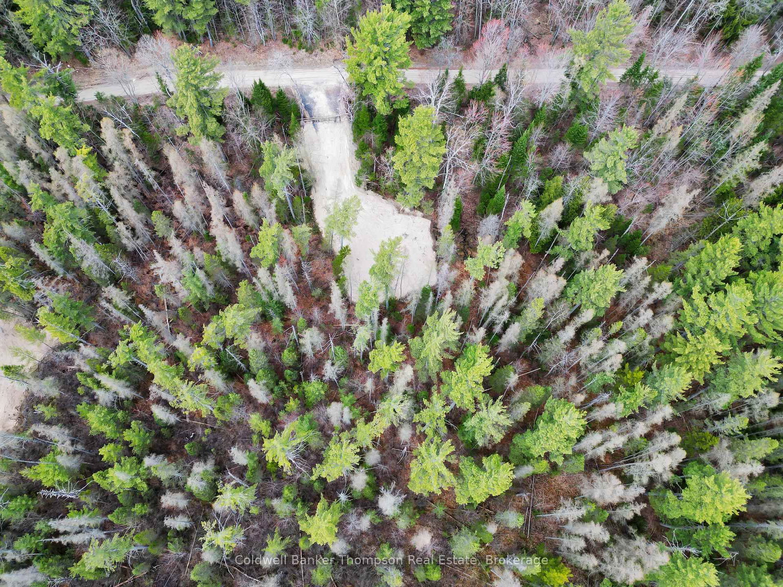 PART 6 AXE LAKE Road • McMurrich/Monteith, ON photo 8