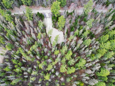 PART 6 AXE LAKE Road • McMurrich/Monteith, ON photo 8
