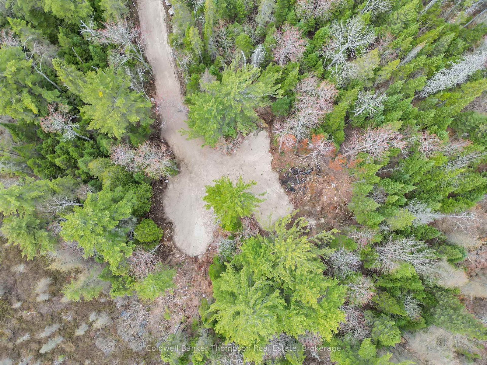 Part 5 AXE LAKE Road • McMurrich/Monteith, ON photo 16