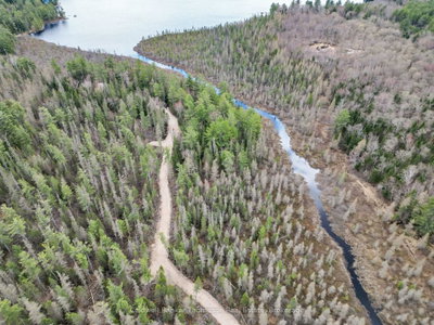 Part 5 AXE LAKE Road — photo 6