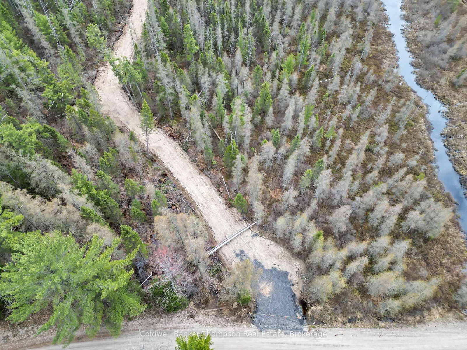 Part 5 AXE LAKE Road • McMurrich/Monteith, ON photo 8