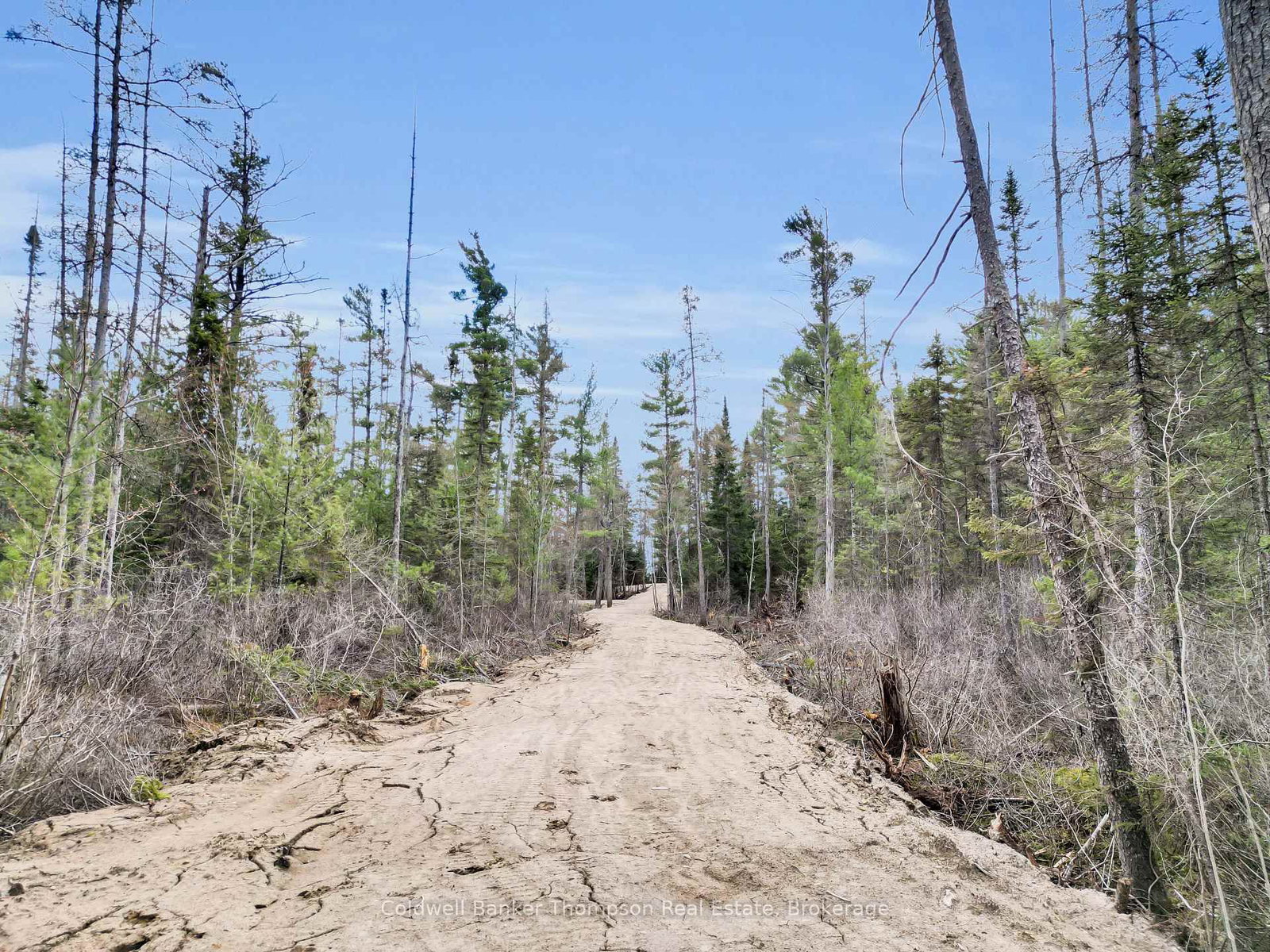 Part 5 AXE LAKE Road • McMurrich/Monteith, ON photo 9