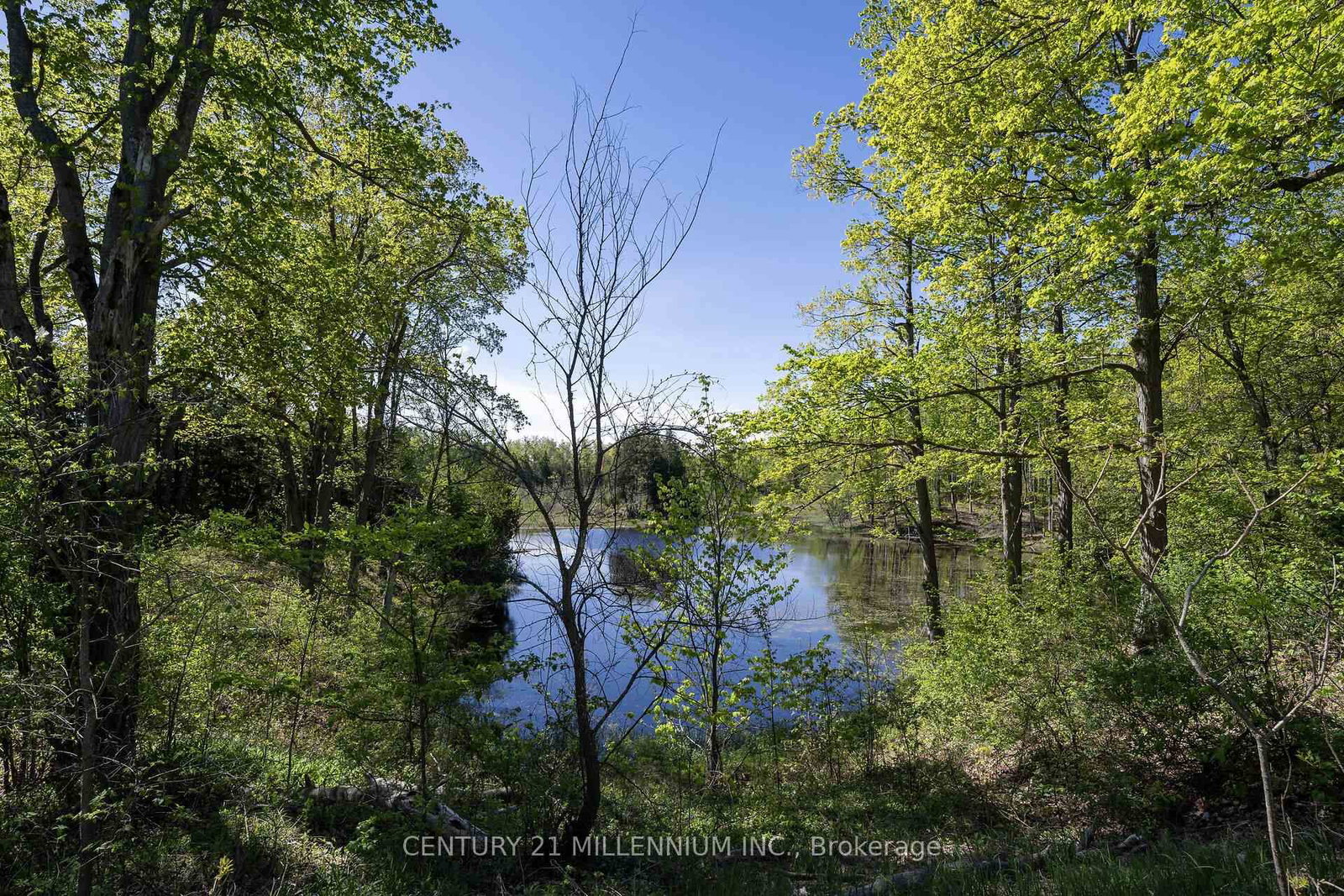 5204 Ninth Line • Erin, ON photo 38
