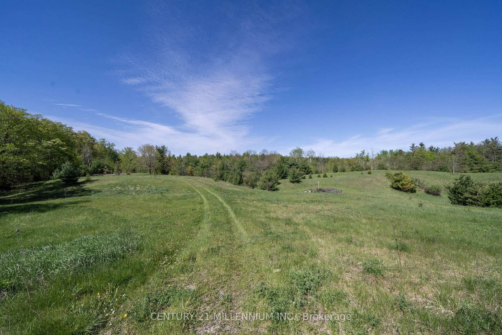 5204 Ninth Line • Erin, ON photo 48