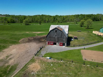 233 Moira Road • Stirling, ON photo 4