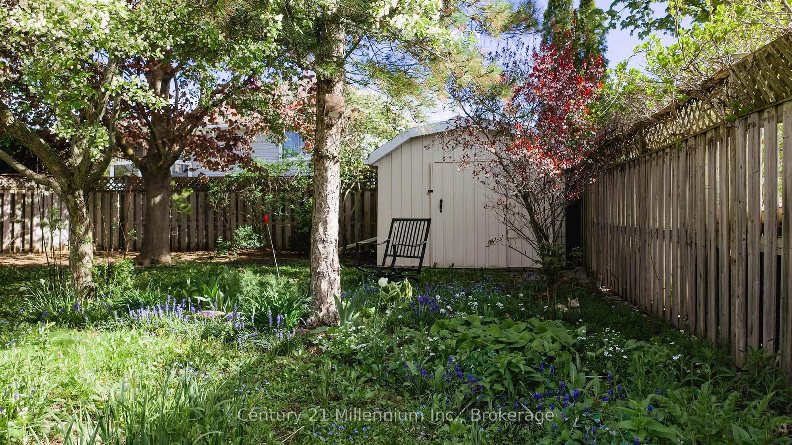 Listing Image 7