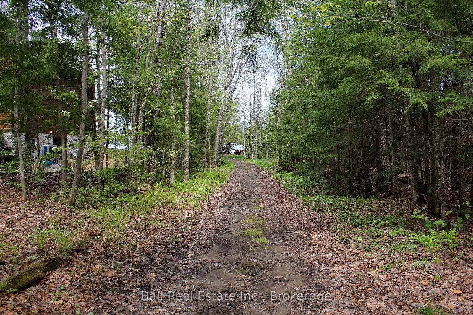 495 Forest View Road • Haliburton, ON photo 38
