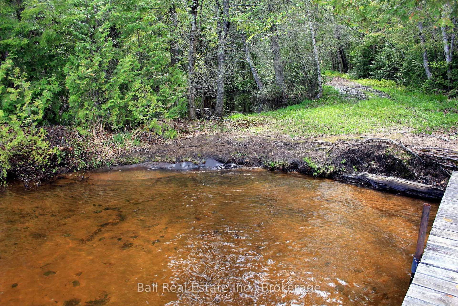 495 Forest View Road • Haliburton, ON photo 39