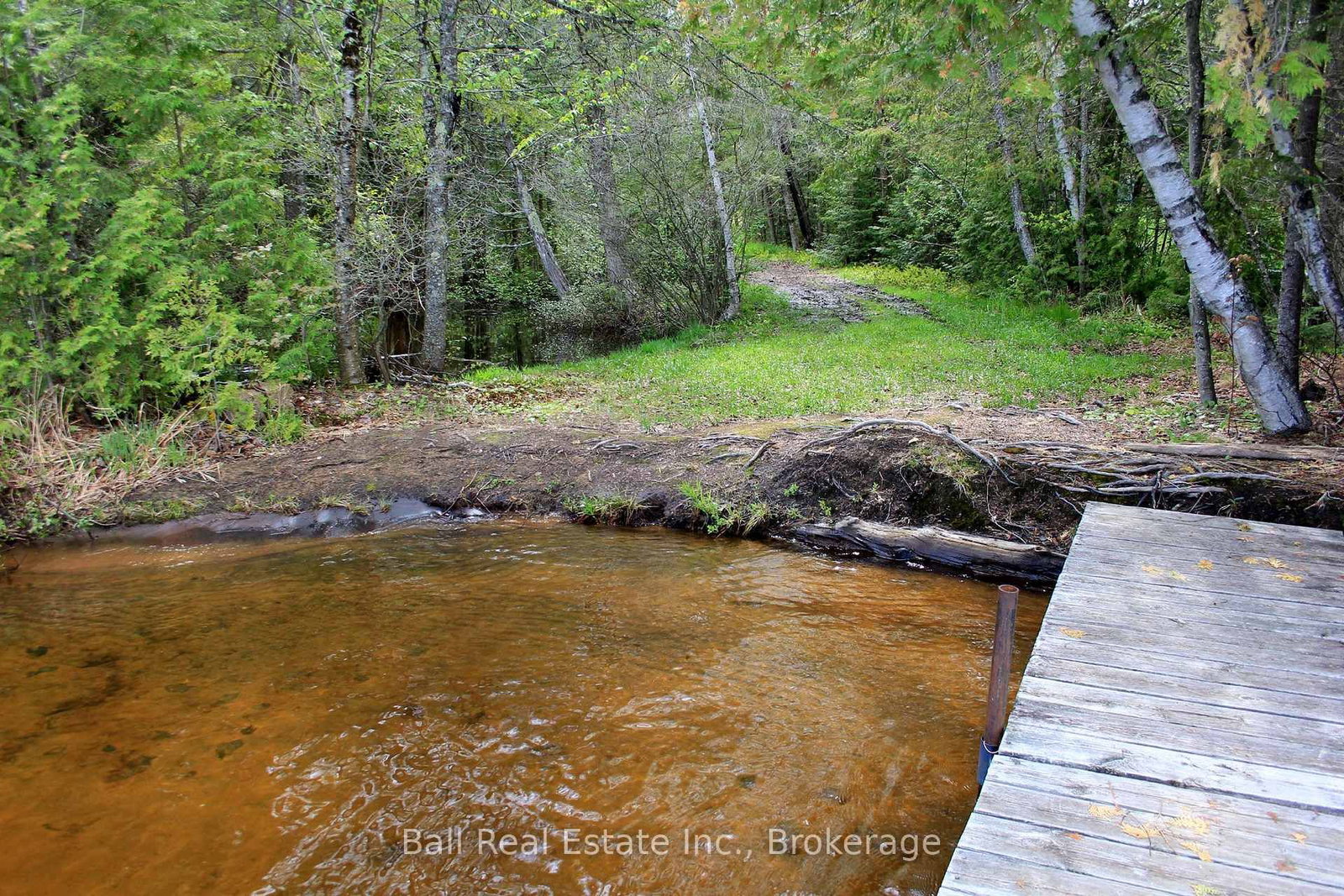 495 Forest View Road • Haliburton, ON photo 40