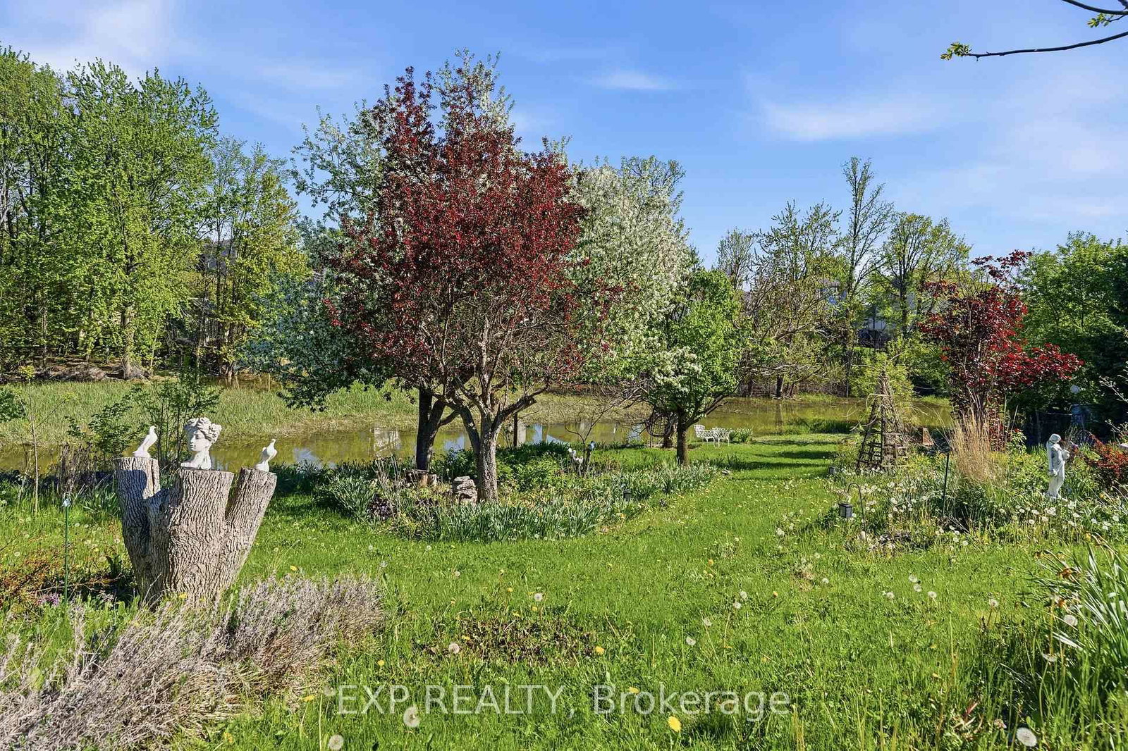 Listing Image 45