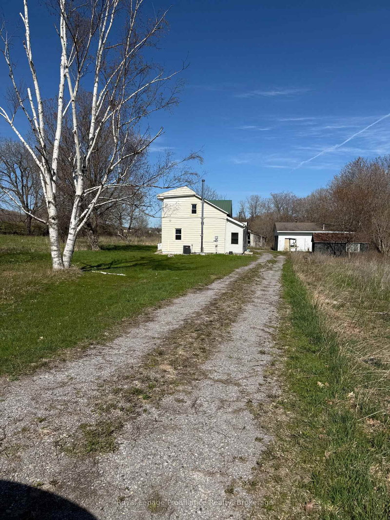 303 Brimley Road S