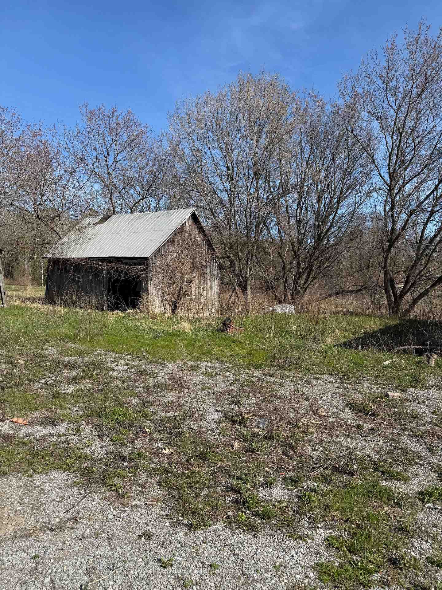 303 Brimley Road S • Alnwick/Haldimand, ON photo 14