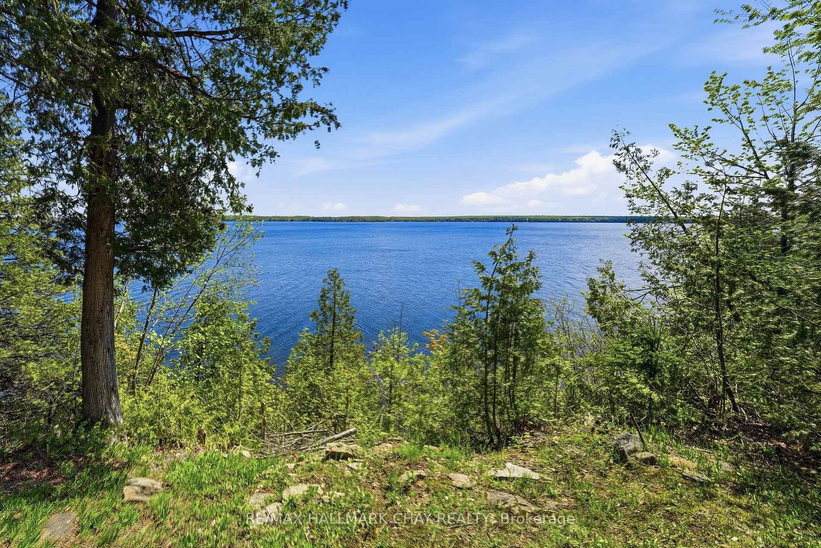 18 Baker Boulevard • Kawartha Lakes, ON photo 43