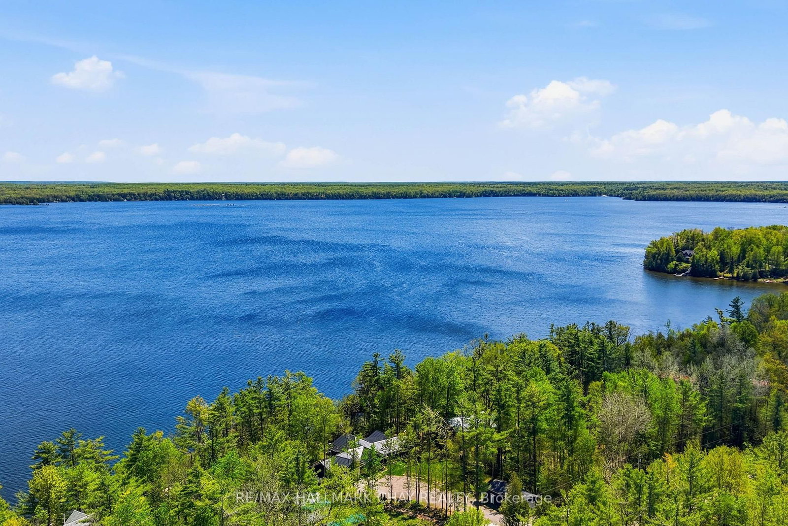 18 Baker Boulevard • Kawartha Lakes, ON photo 47
