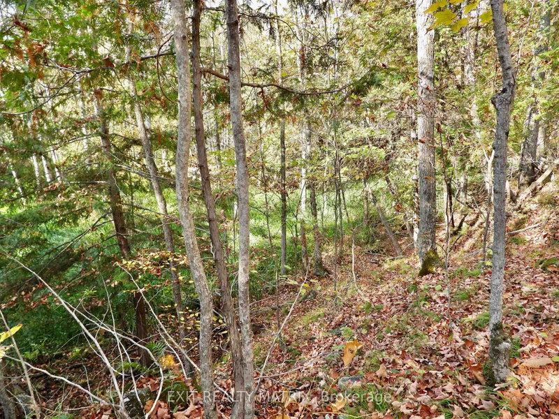 Lot 1 Woodland Park Drive