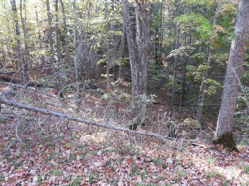 Lot 1 Woodland Park Drive