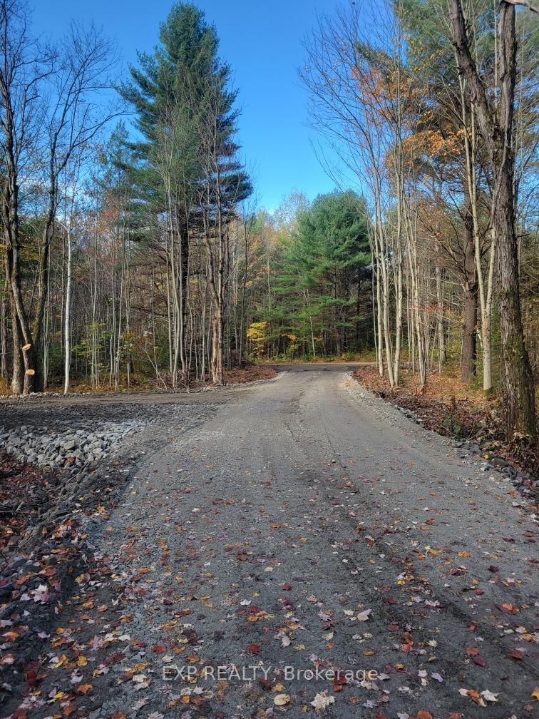 3124 Southwood Road • Gravenhurst, ON photo 23