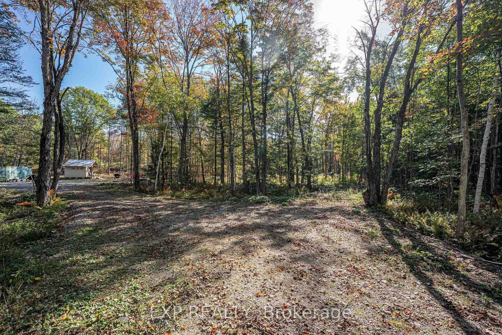 3124 Southwood Road • Gravenhurst, ON photo 4