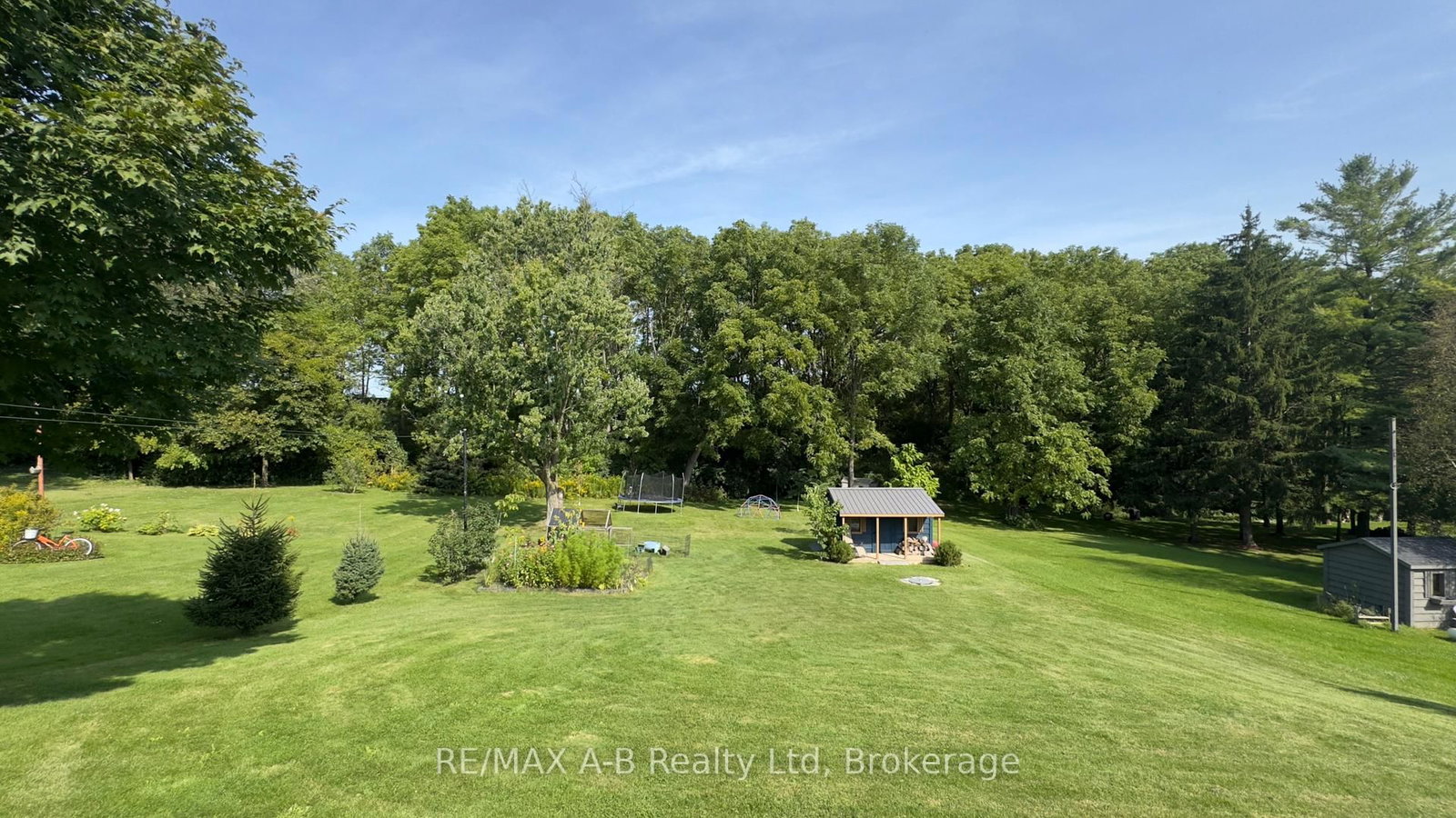 43 W Widder Street • St. Marys, ON photo 39