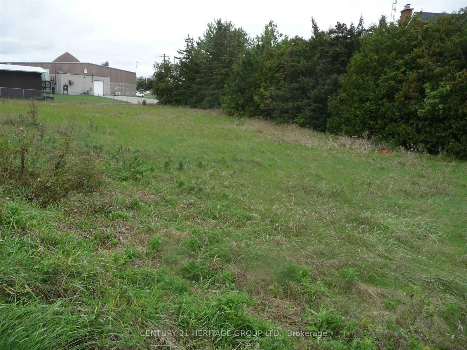 33 Grant Drive • Kawartha Lakes, ON photo 3
