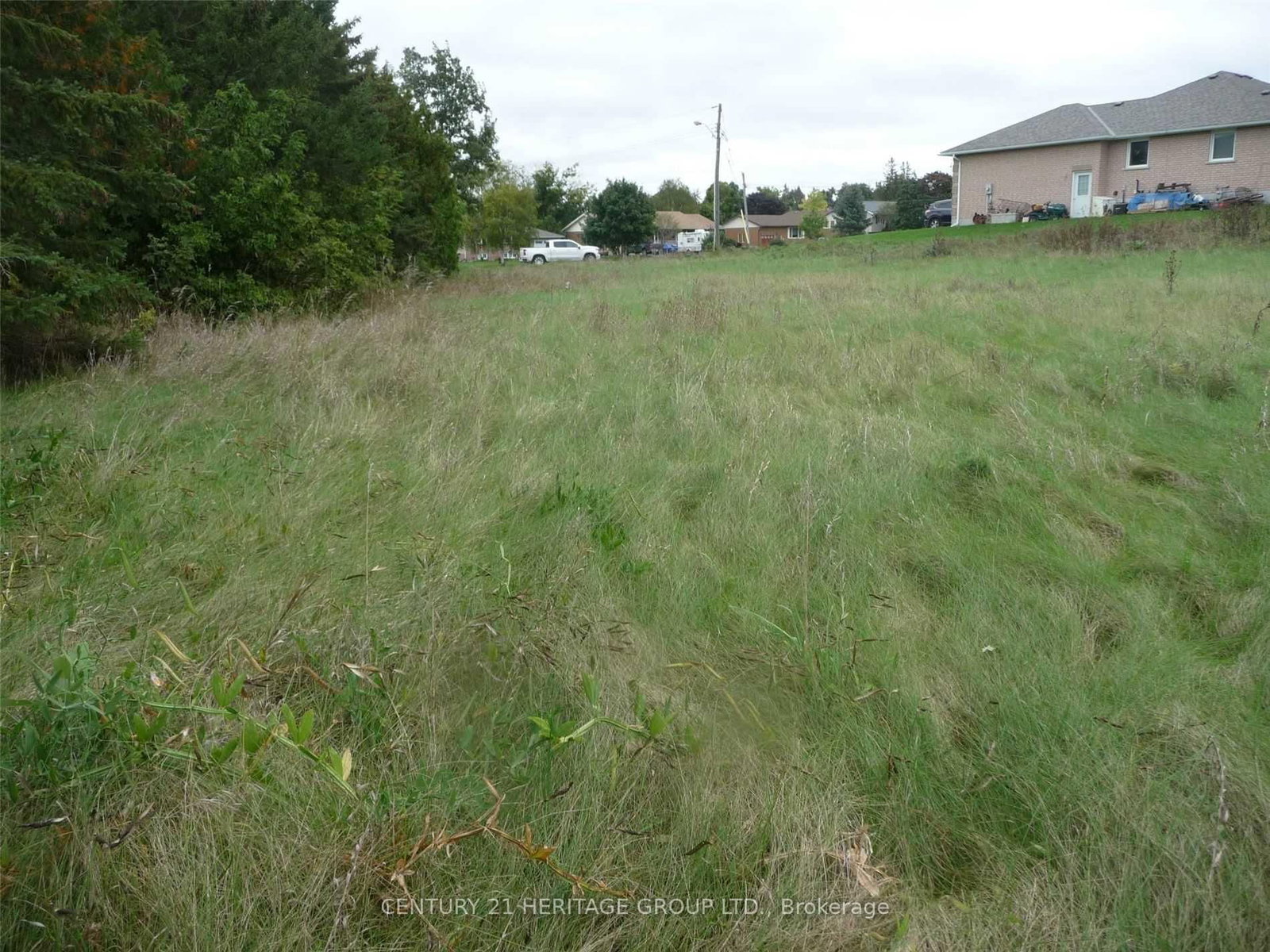 33 Grant Drive • Kawartha Lakes, ON photo 4