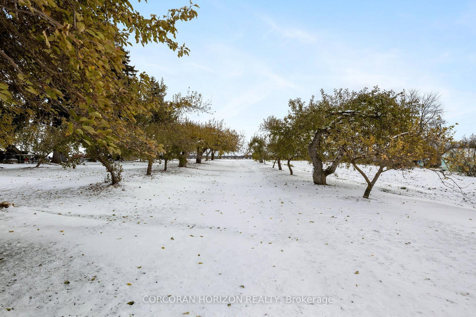 1183 Northfield Drive E • Woolwich, ON photo 12