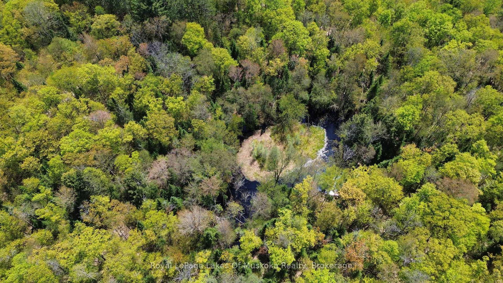 386 Locke's Road • Perry, ON photo 11