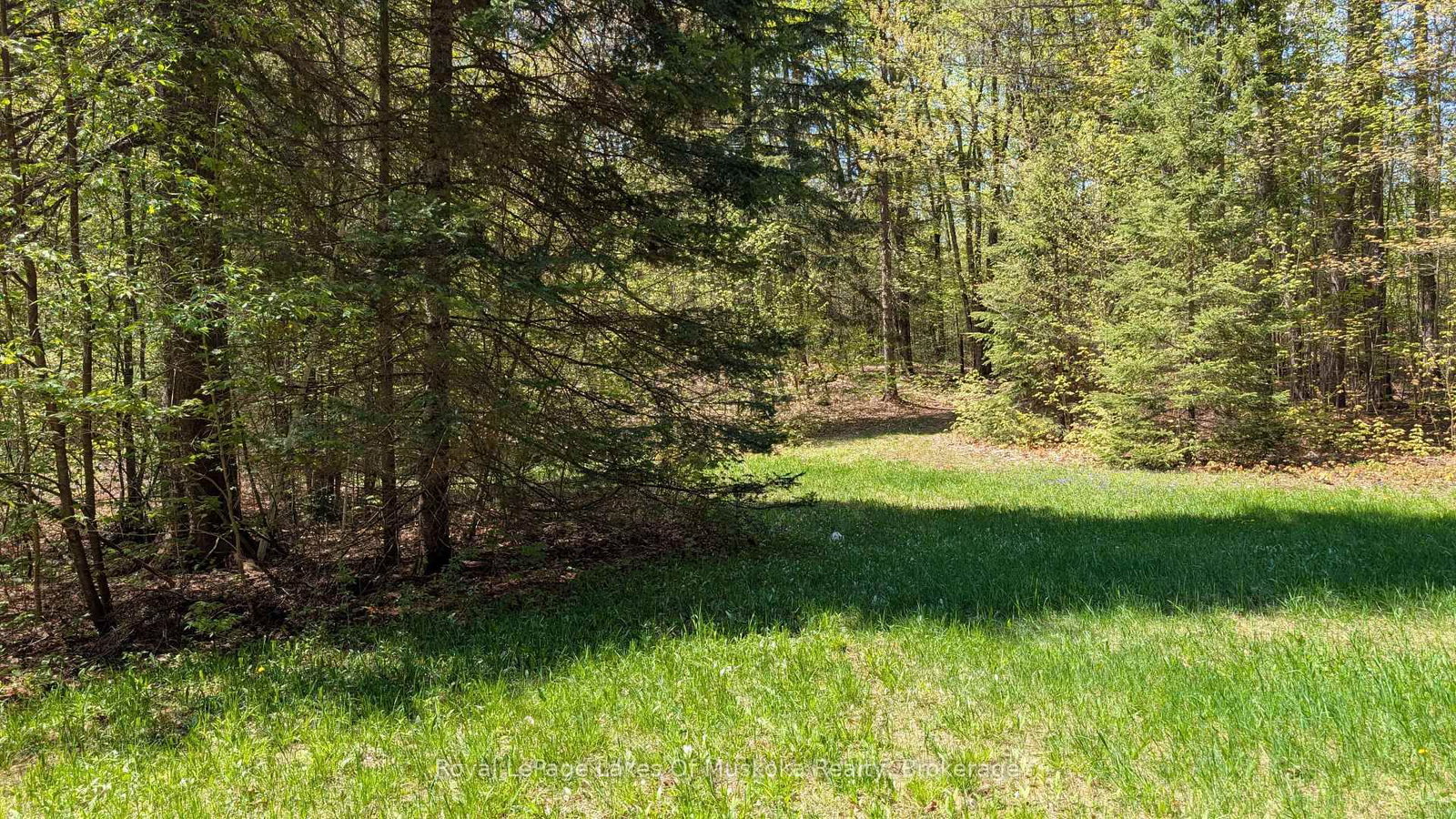386 Locke's Road • Perry, ON photo 12
