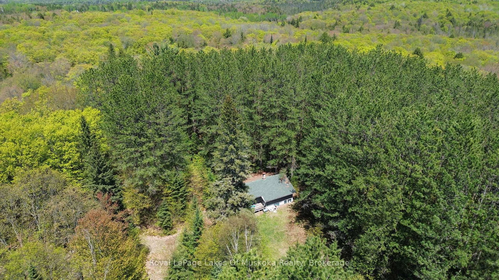 386 Locke's Road • Perry, ON photo 15