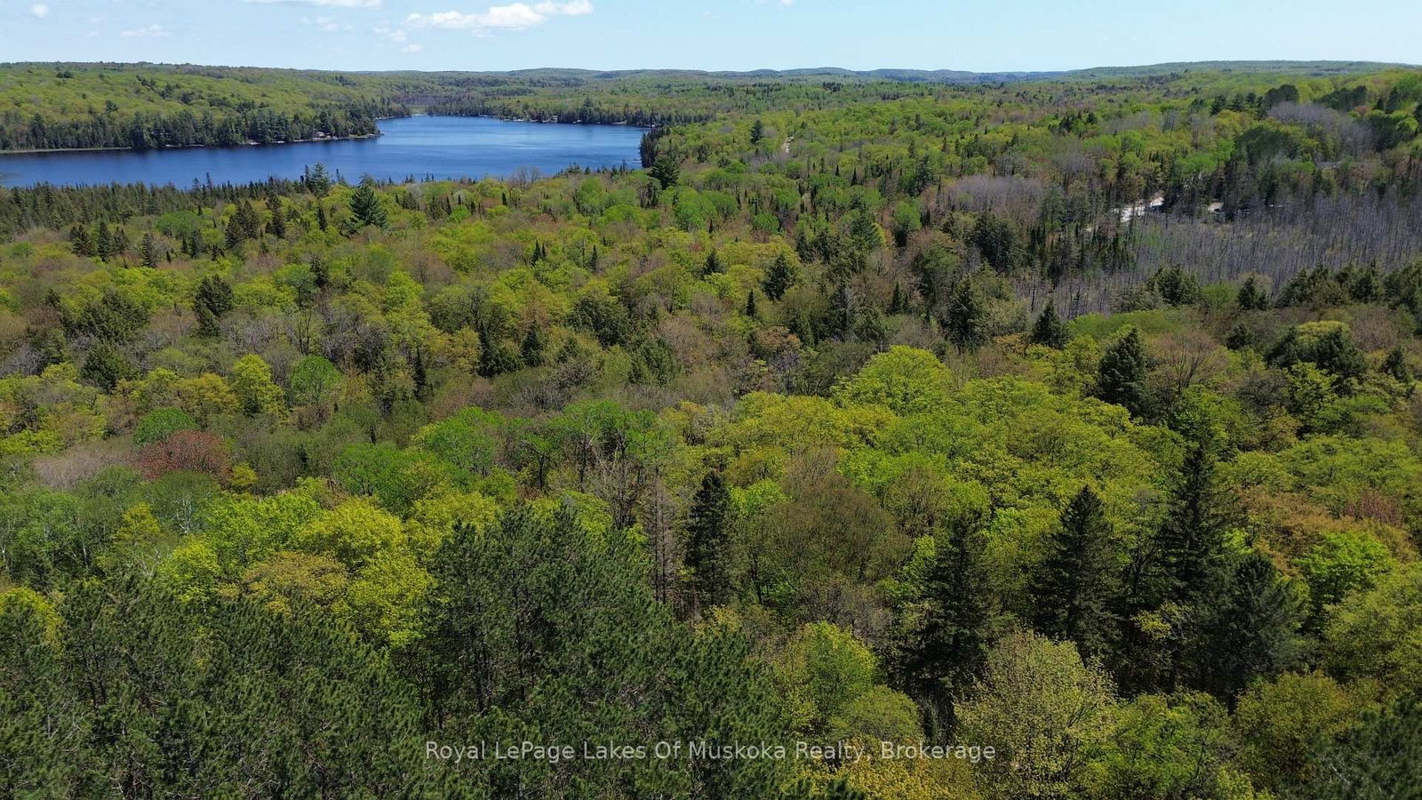 386 Locke's Road • Perry, ON photo 18