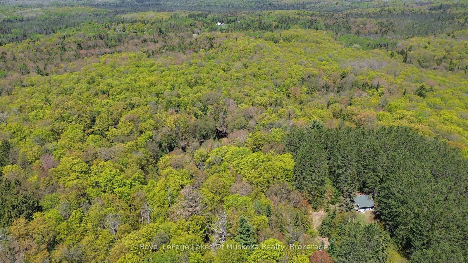 386 Locke's Road • Perry, ON photo 20