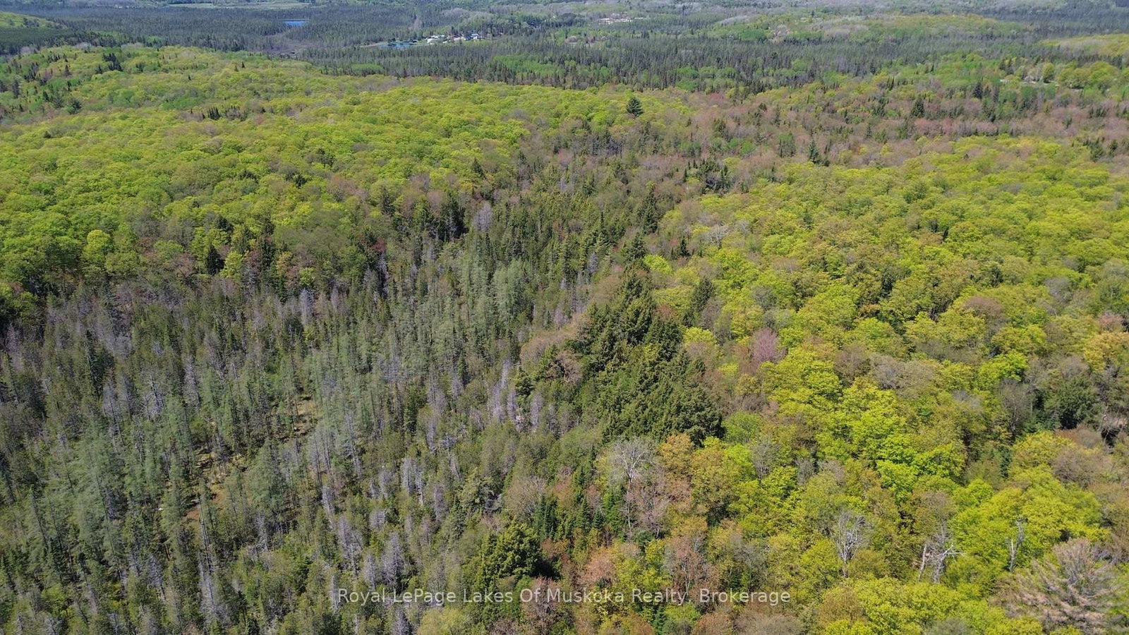 386 Locke's Road • Perry, ON photo 21