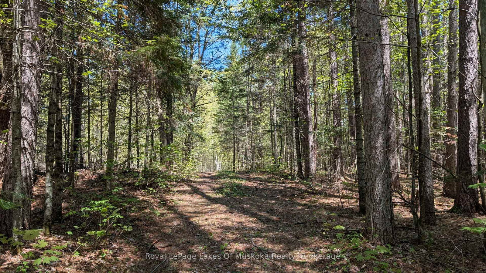 386 Locke's Road • Perry, ON photo 25