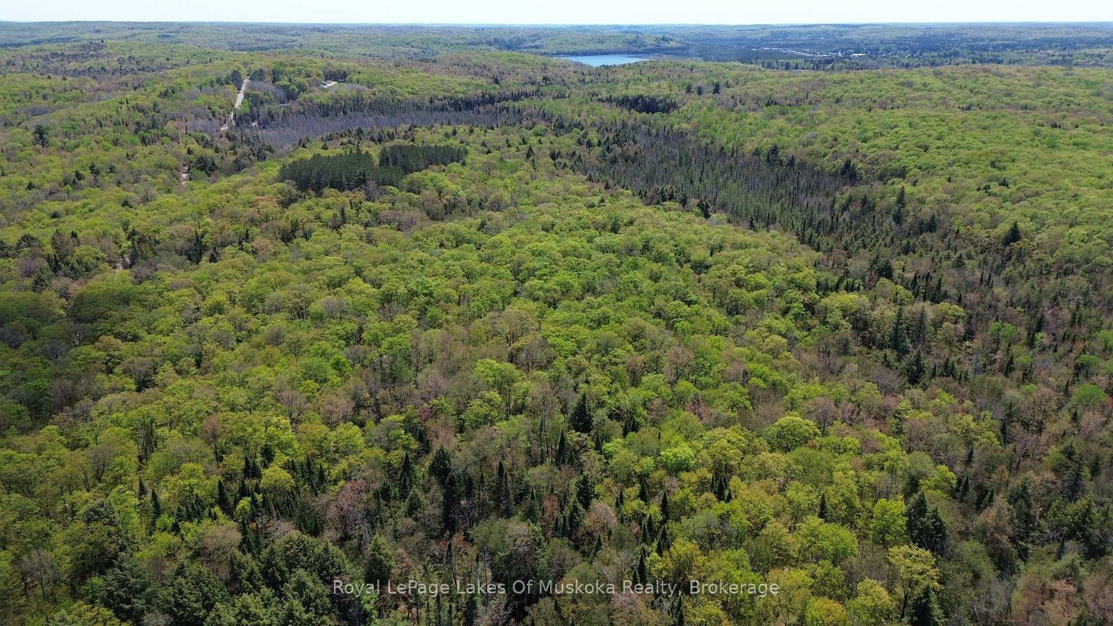 386 Locke's Road • Perry, ON photo 4