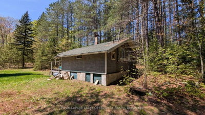386 Locke's Road • Perry, ON photo 9