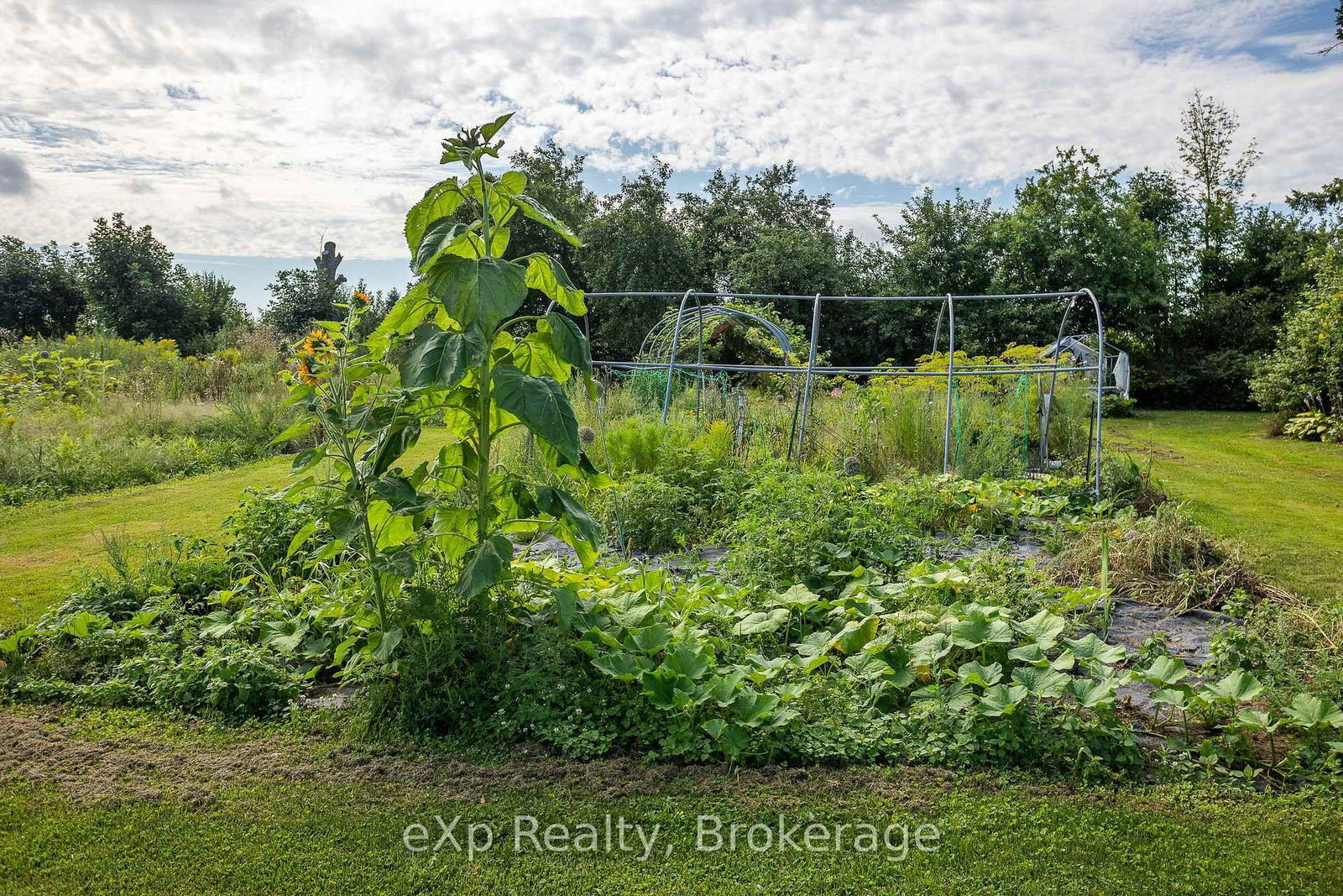 1097 6 Highway • South Bruce Peninsula, ON photo 27