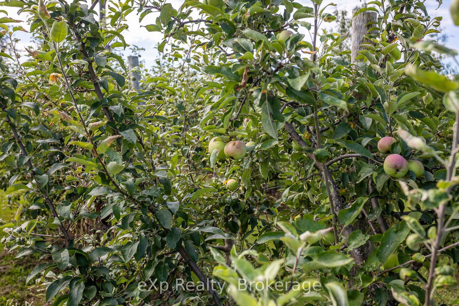 1097 6 Highway • South Bruce Peninsula, ON photo 33