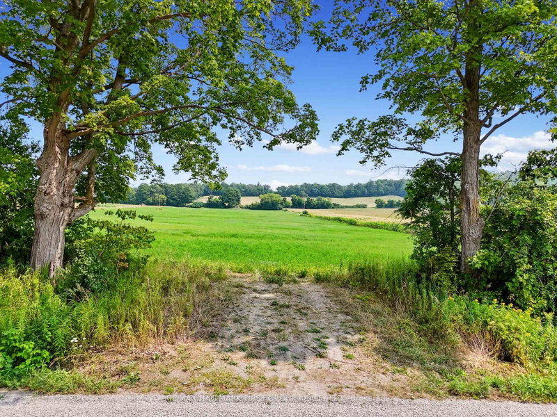 00 Mulder Road