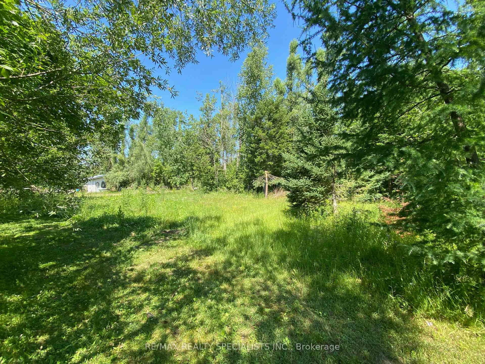 LT12&13 OTTER Road • Kawartha Lakes, ON photo 8