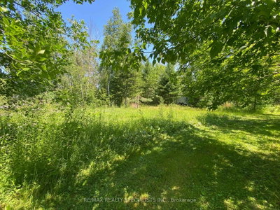 LT12&13 OTTER Road • Kawartha Lakes, ON photo 9