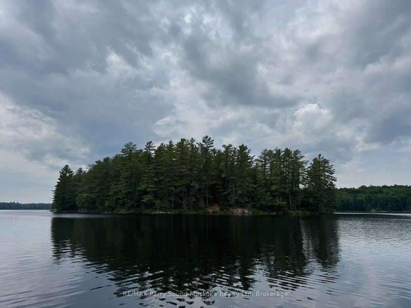 2 Wolf River