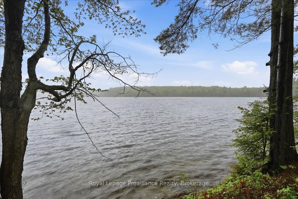 1419 Turtle Lake Lane • Plevna, ON photo 18