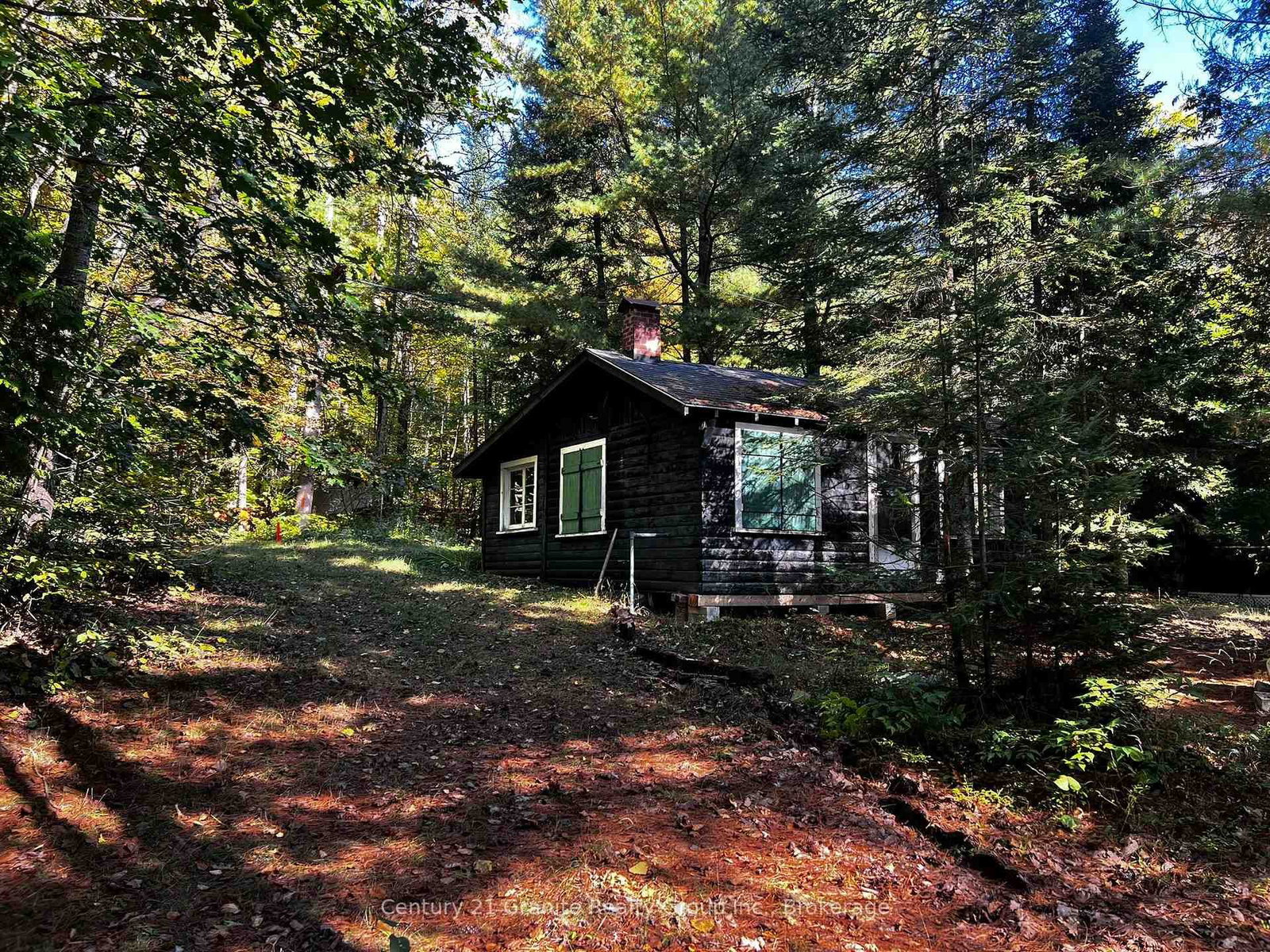 1141 Kanawa Lane • Algonquin Highlands, ON photo 39