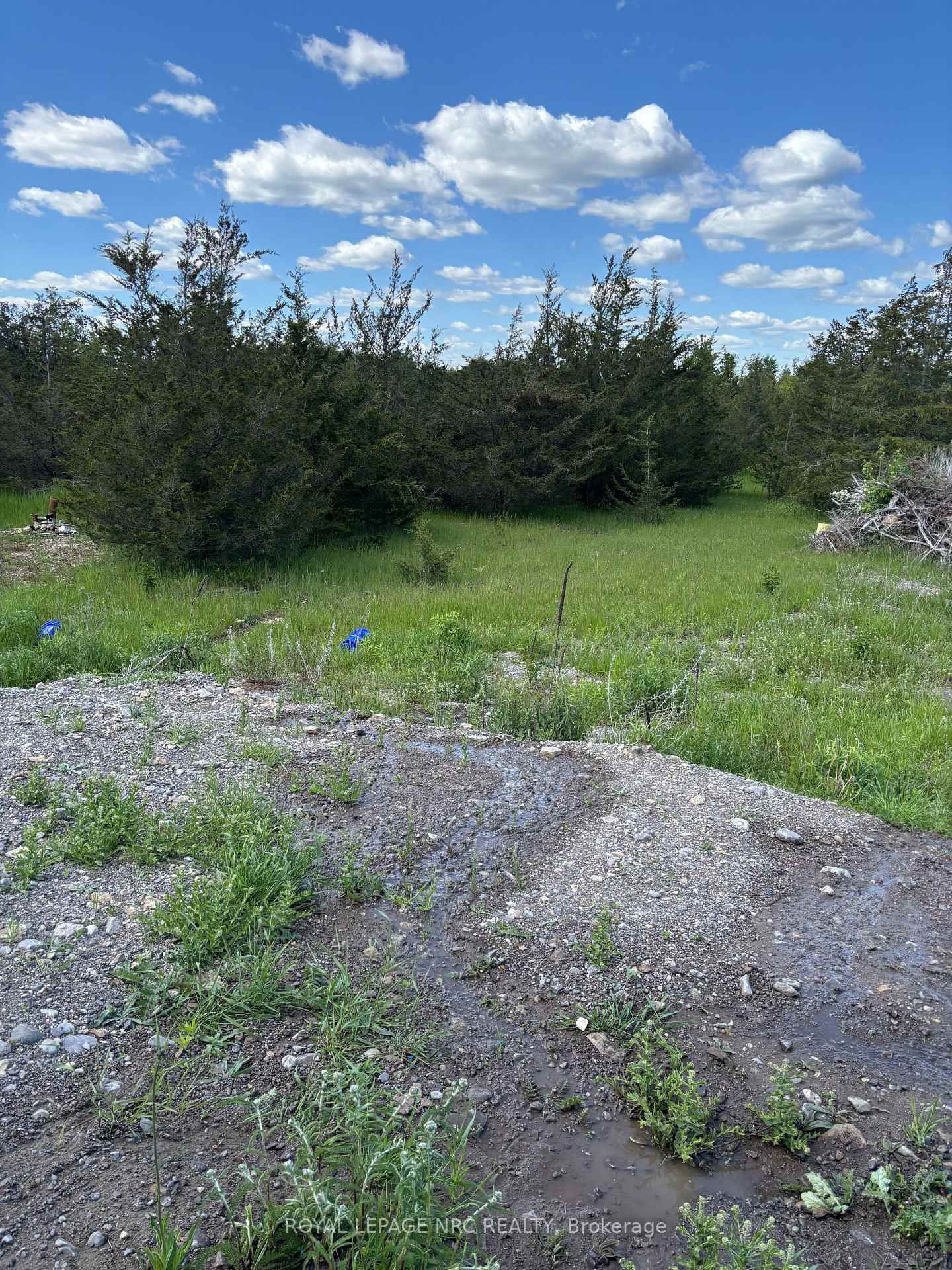 15 Wallick Drive • Trent Hills, ON photo 39
