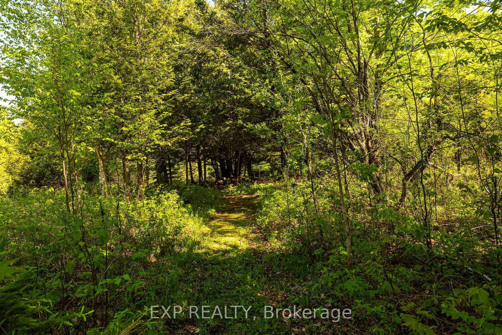 1493 5th Concession B Dalhousie Road • Lanark, ON photo 40
