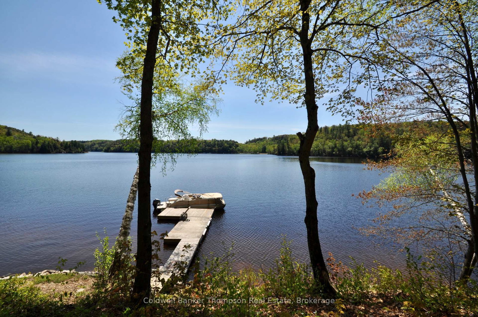 768 Big Island • Huntsville, ON photo 2