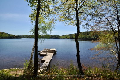 768 Big Island • Huntsville, ON photo 2