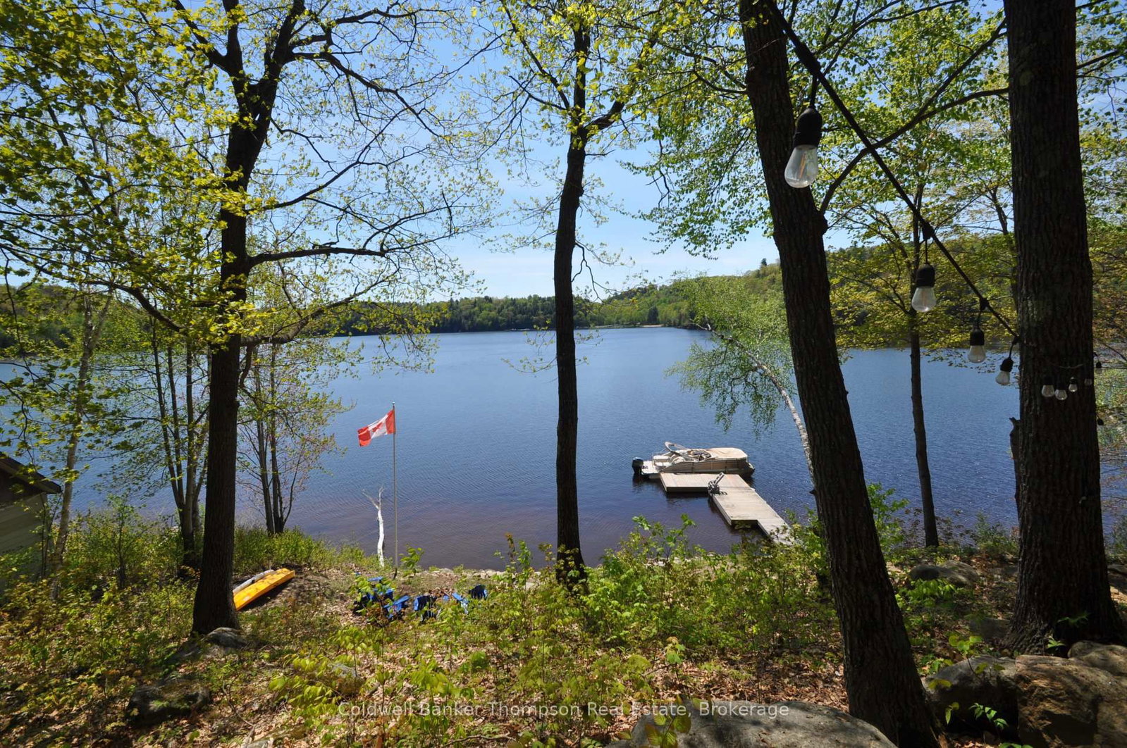 768 Big Island • Huntsville, ON photo 44